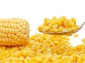 maíz choclo riqueza nutricional.