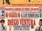 Feria Fuengirola