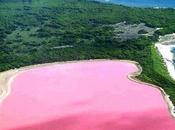 lago color ‘rosa’?