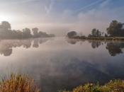 Cuida reflejo