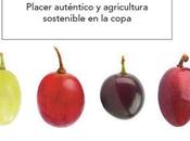 Vinos naturales España