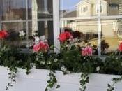 Jardineras Madera Bajo Ventanas
