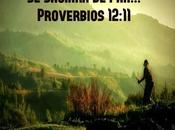 ¿Cómo provee Dios?
