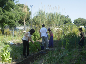 Actividades gratuitas ecológicas Madrid