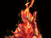 Soledad, incertidumbre magia. destino reino está manos... (Reseña)