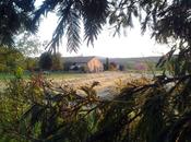 Crónica Finde Paleo Duran