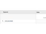 ¿Que “Not Provided”?