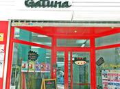 Gatuna espacio creativo