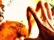 ¿Cuánto autobiográfico último trabajo?