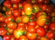 Salsa Tomate conserva