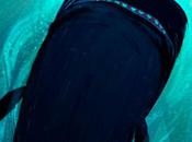 Foto día: Arte digital