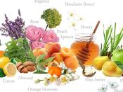 Jeanne Provence Otoño.