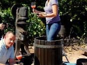 Conviértete bodeguero ruta vino Rioja Alavesa