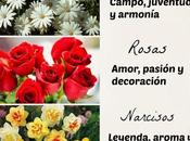 Inspiraciones: poder flores