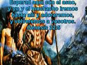 aumento