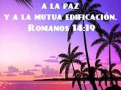 campaña