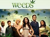 Weeds