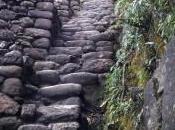 Cambios estructura departamento