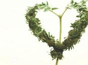 Corazón desde Vietnam/A heart from Vietnam