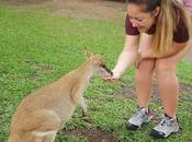 Kuranda, Cairns