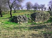 recurso fundamental para arqueologo Andalucia