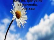 ¡Maravilloso!