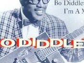 Diddley: Diddley"