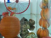 LOOK268-1.11.20137:30'' PRINT WHITE &amp; BLACK''¡¡Hola a...