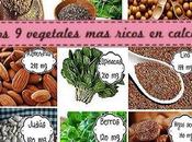 vegetales ricos calcio- ¿Cuidas huesos?