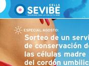 Sorteo para conservación células madre cordón umbilical durante años