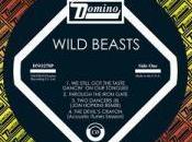 Wild Beasts Still Taste Dancin’ On...