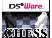 Chess Challenge! (Ajedrez desafío DSiW para Nintendo