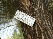 Abandonos abandonados