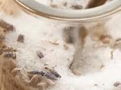 Tips cocina: azúcar lavanda, cómo prepararlo lavanda ideal para hornear galletas panqués endulzar infusiones vasos leche. Prepáralo cuestión minutos.