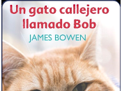 Lectura conjunta sorteo gato callejero llamado