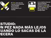 ¿Está creatividad bajo amenaza?