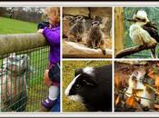 Lugares visitar niños: Calderglen Country Park