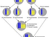 Trisomía monosomía