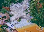 Retratando libros