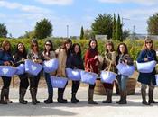 Vendimia chic Esdor serums Gran Reserva