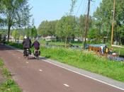 Recorre Holanda Bicicleta