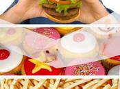 ratas experimentación muestran adicción comida hipercalórica.