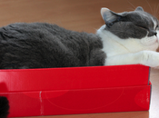 ¿Cómo hago para feliz?