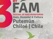 Festival Aves Migratorias Chiloé (Chile)
