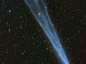 cometa ISON aumenta repentinamente brillo. Como observarlo