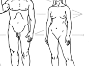 concepción humano