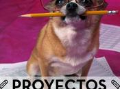 Proyecto Profesional”