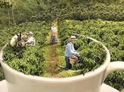 “Colombia Realismo Mágico” gana premio España