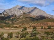 Susarón