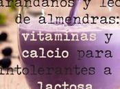 Vitaminas minerales para intolerantes lactosa. Rápido ynutritivo